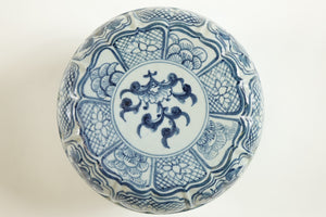 Early 20th Century Chinese Porcelain Blue and White Bowl w/ Top