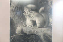 Load image into Gallery viewer, Hungry Squirrels Print
