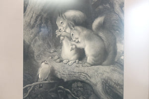 Hungry Squirrels Print