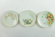 Load image into Gallery viewer, Theodore Haviland - Set of 3 Plates
