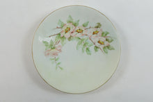 Load image into Gallery viewer, Theodore Haviland - Set of 3 Plates
