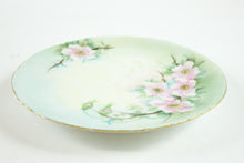 Load image into Gallery viewer, R. C. Versailles Rosenthal Plate from Germany

