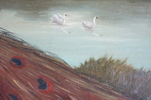 Peacocks and Birds, Original Oil on Canvas