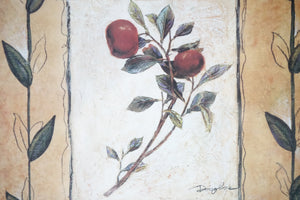 Botanical, Print of original Oil & Pencil on Board, Signed