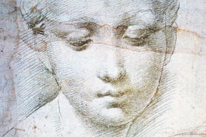 Raphael Pencil on Paper Print