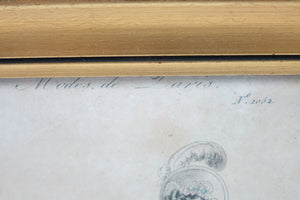 Petit Courrier des Dames, Hand-Colored Engraving