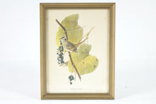 Load image into Gallery viewer, Birds in the Berry Tree Botanical Bird Print
