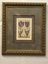 Load image into Gallery viewer, Tulip, Botanical Print
