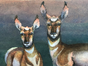 Wildlife, Original Watercolor on Paper