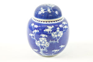 Antique Blue and White Chinese Porcelain Jar with lid - Circle marking on the bo