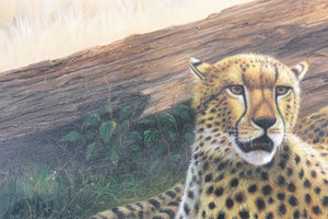 Cheetahs Large Oil Painting on Canvas