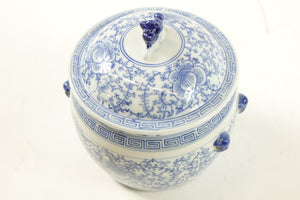 Chinese Blue and White Porcelain Jar w/ Lid