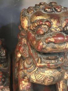 Pair of Parcel Gilt and Red Painted Foo Lion  Size,