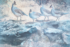 Birds by the Brambles, Print of original Watercolor Painting, Signed